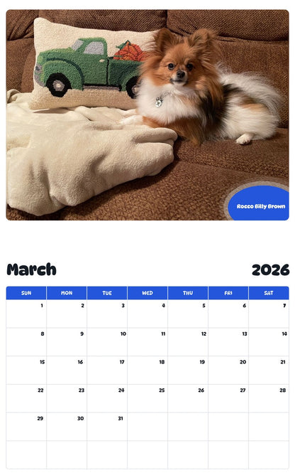 November 2025 - October 2026 Rocco Billy Brown - Pawidols Pet Calendar