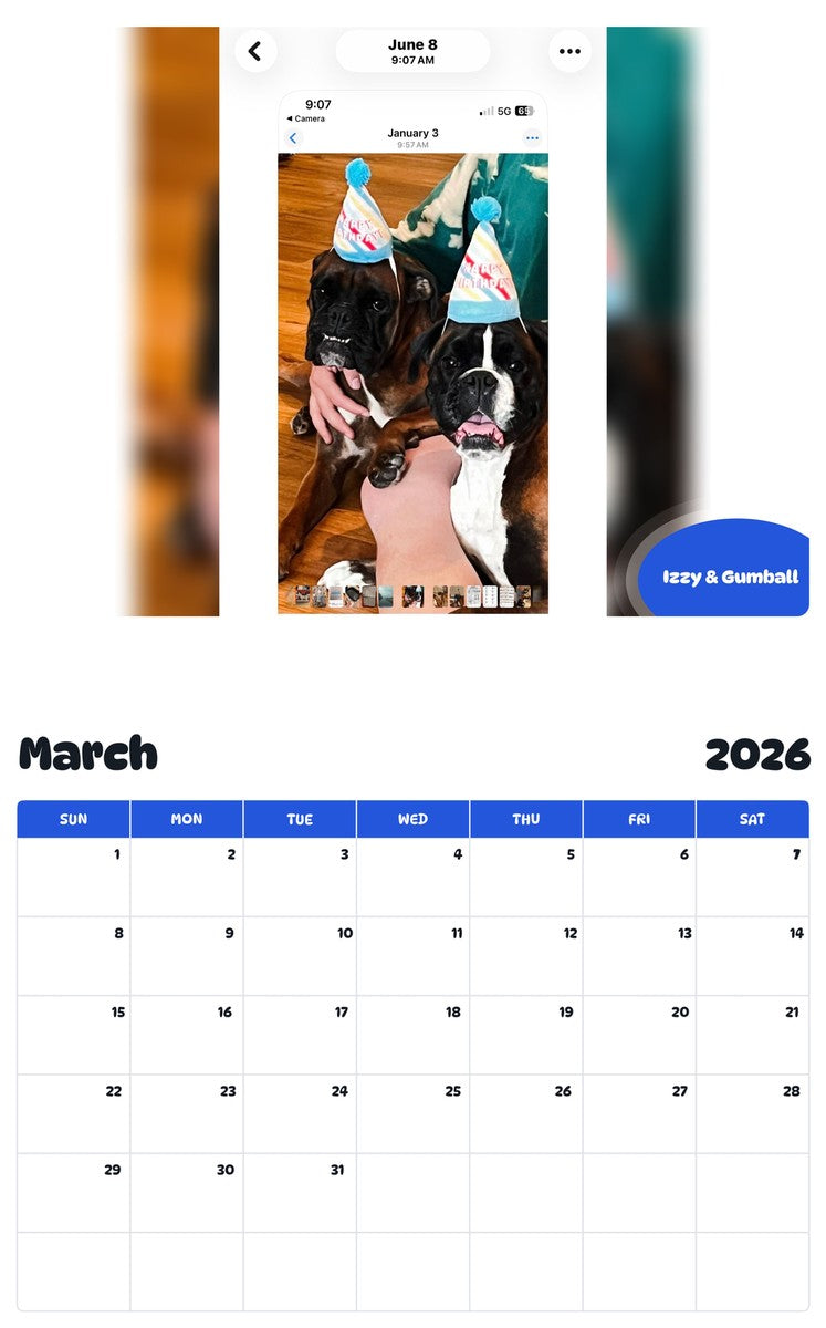 November 2025 - October 2026 Izzy & Gumball - Pawidols Pet Calendar