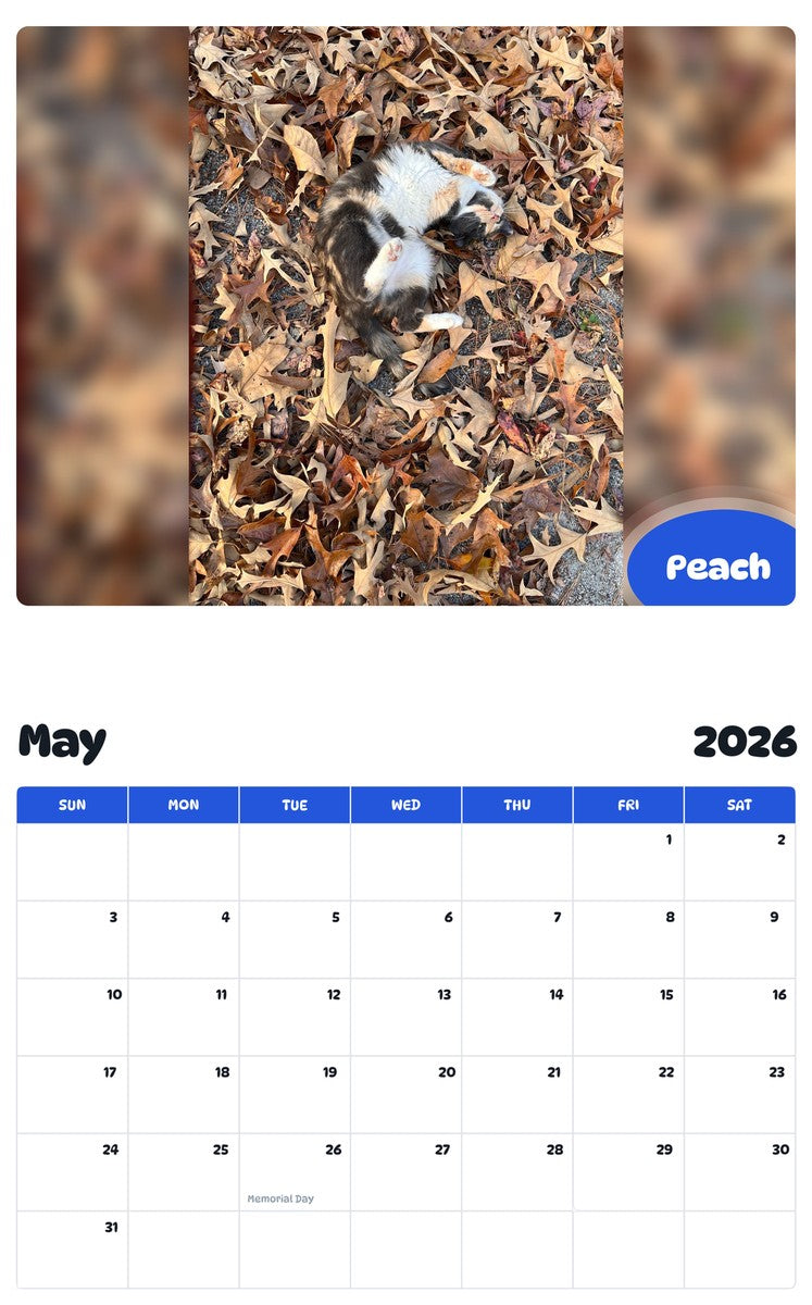 2026 - 2027 Peach - Pawidols Pet Calendar