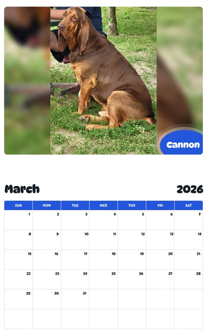 November 2025 - October 2026 Cannon - Pawidols Pet Calendar