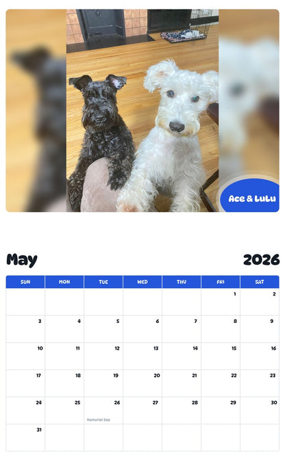 2026 - 2027 Ace & LuLu - Pawidols Pet Calendar