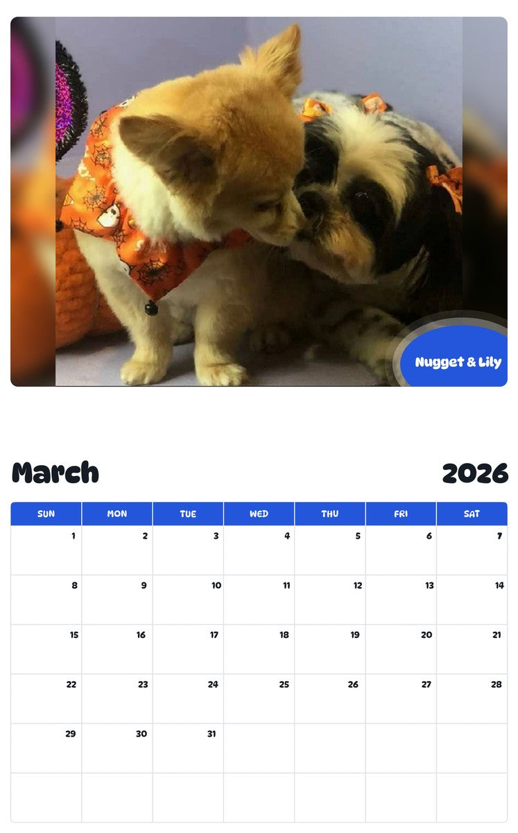 November 2025 - October 2026 Nugget & Lily - Pawidols Pet Calendar