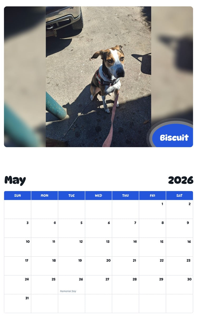 2026 - 2027 Biscuit - Pawidols Pet Calendar