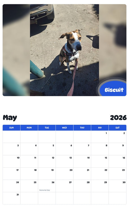 2026 - 2027 Biscuit - Pawidols Pet Calendar