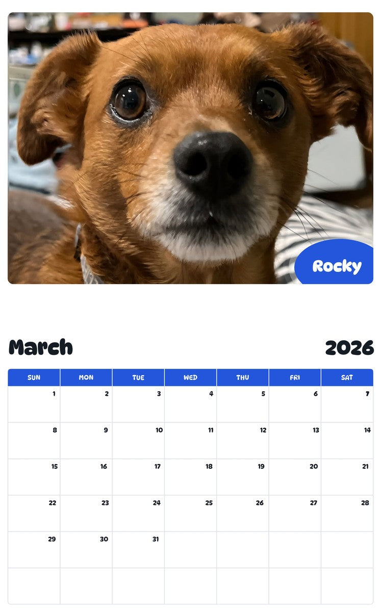 November 2025 - October 2026 Rocky - Pawidols Pet Calendar