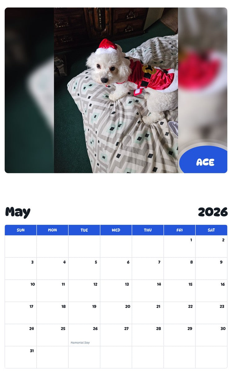 2026 - 2027 ACE - Pawidols Pet Calendar