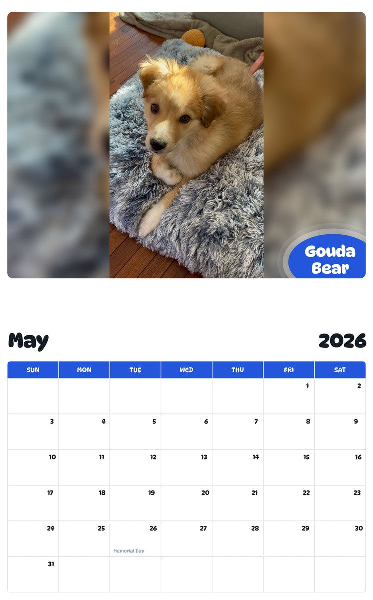 2026 - 2027 Gouda Bear - Pawidols Pet Calendar