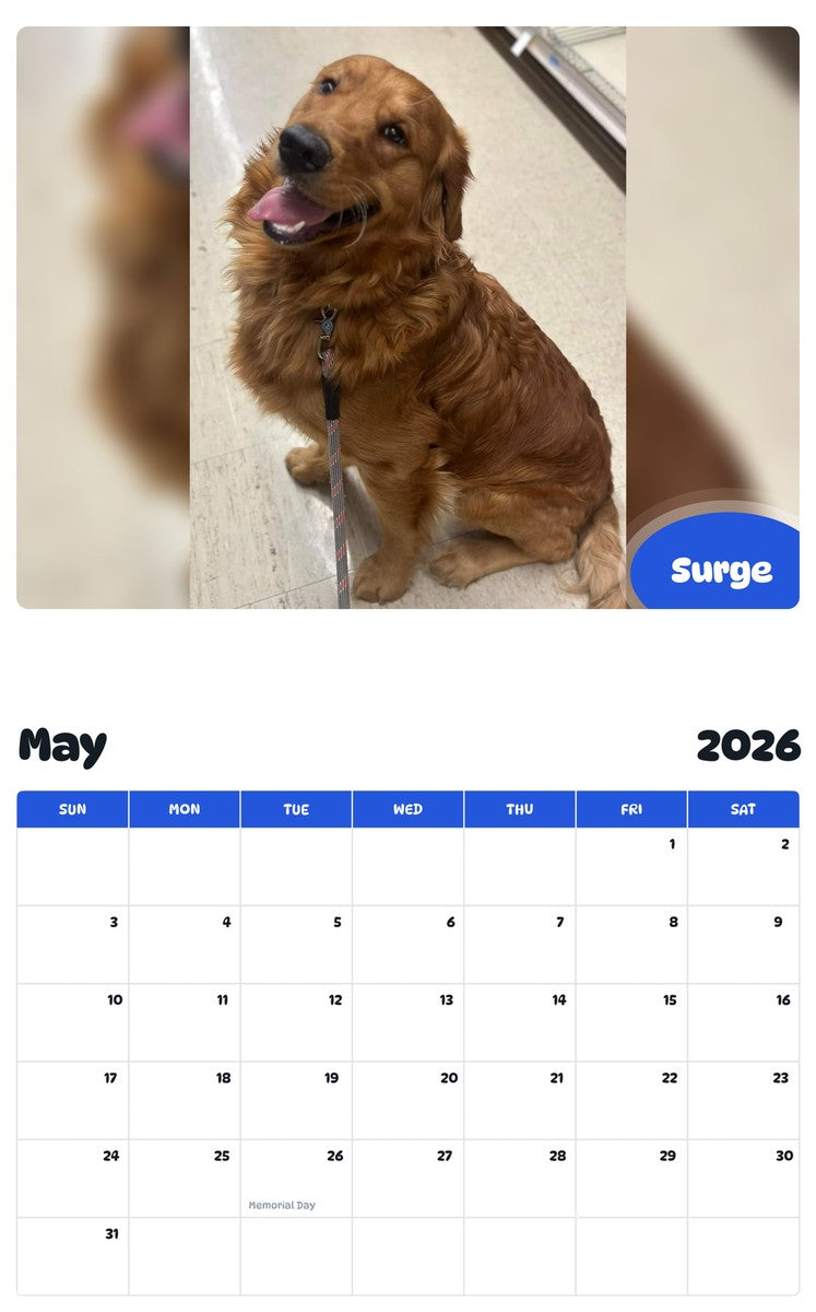 2026 - 2027 Surge - Pawidols Pet Calendar