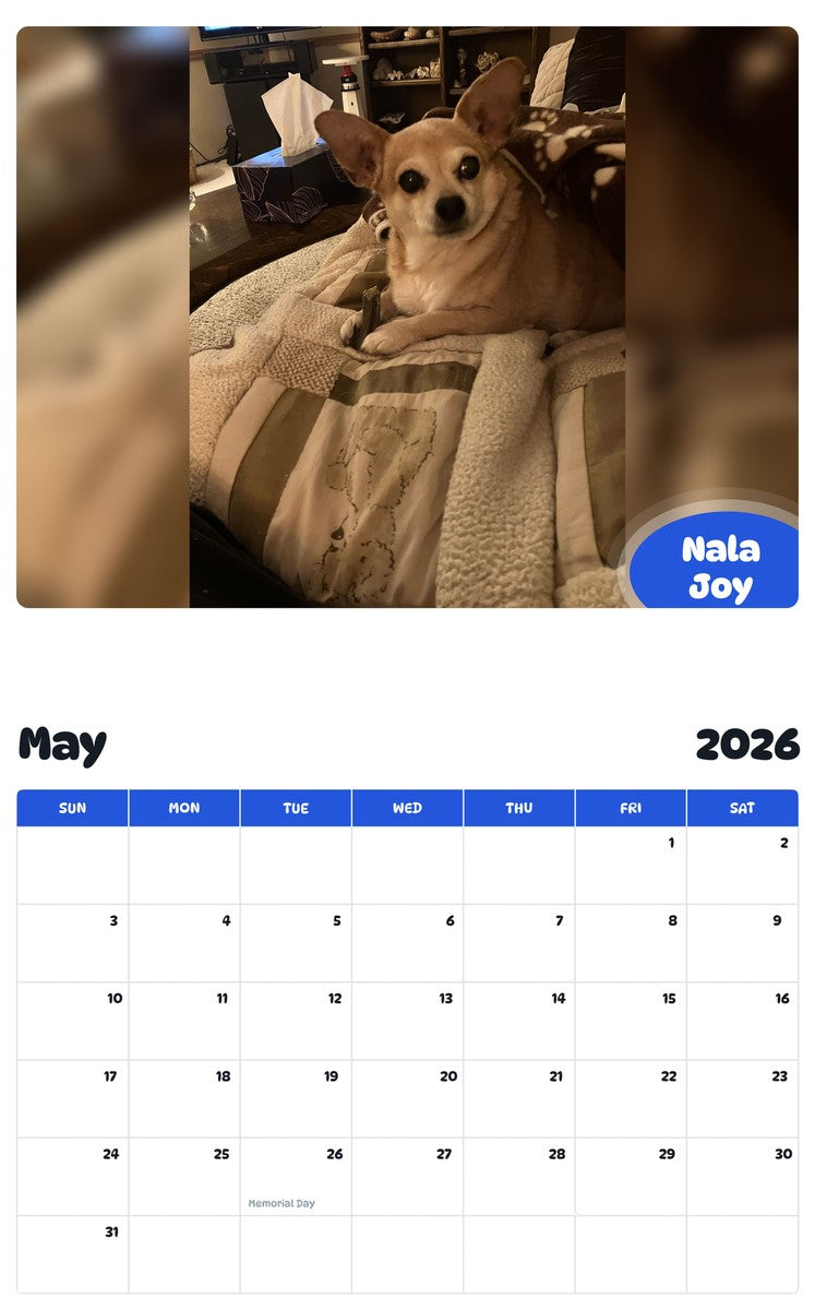 2026 - 2027 Nala Joy - Pawidols Pet Calendar