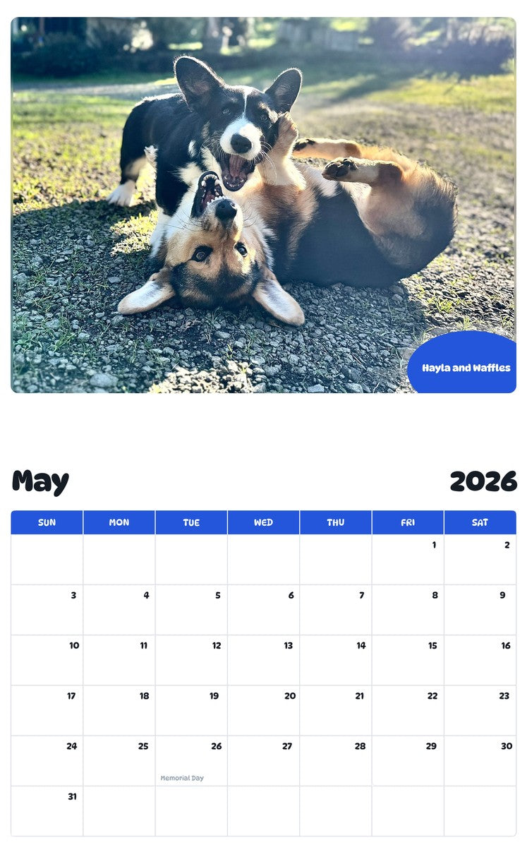 2026 - 2027 Hayla and Waffles - Pawidols Pet Calendar