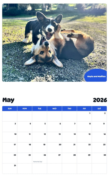 2026 - 2027 Hayla and Waffles - Pawidols Pet Calendar