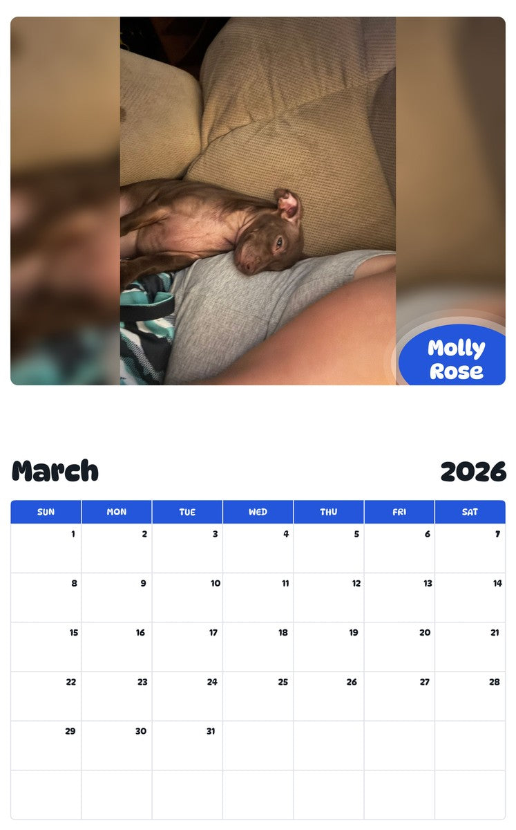 November 2025 - October 2026 Molly Rose - Pawidols Pet Calendar