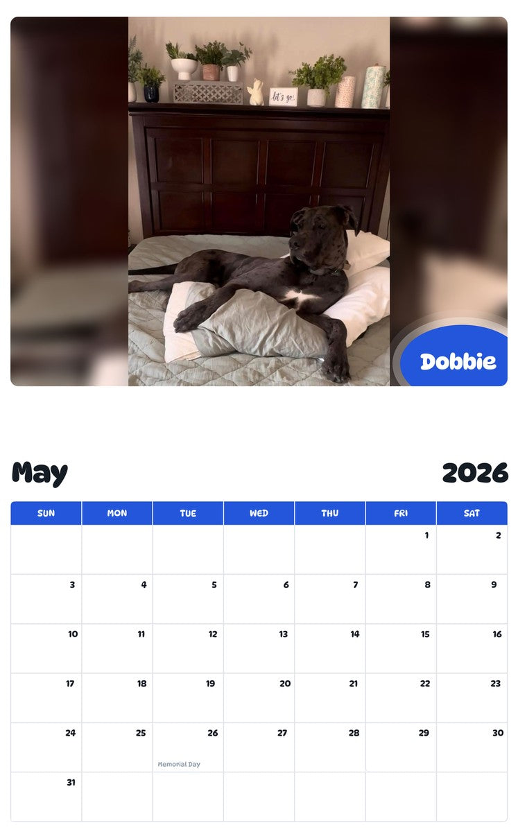 2026 - 2027 Dobbie - Pawidols Pet Calendar