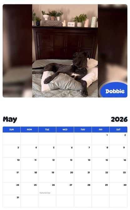 2026 - 2027 Dobbie - Pawidols Pet Calendar