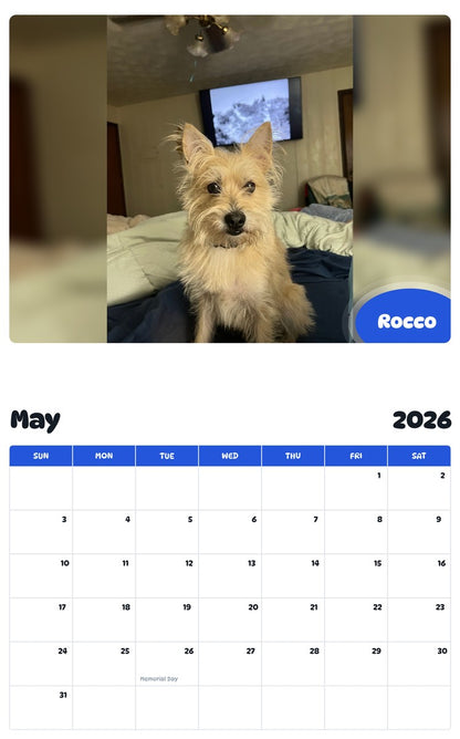 2026 - 2027 Rocco - Pawidols Pet Calendar