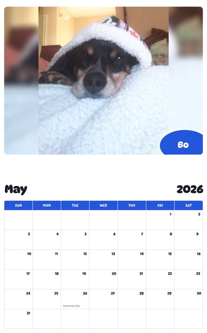 2026 - 2027 Bo - Pawidols Pet Calendar