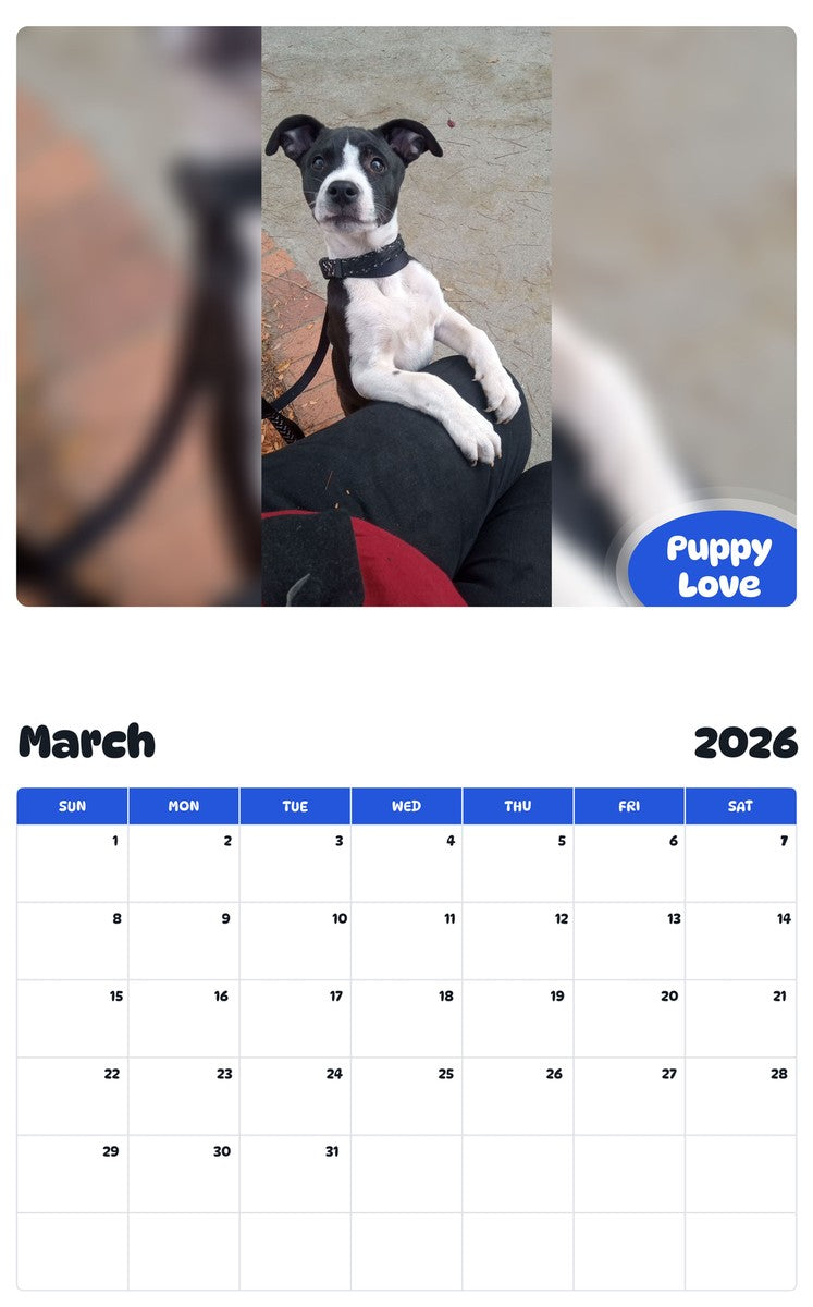 November 2025 - October 2026 Puppy Love - Pawidols Pet Calendar