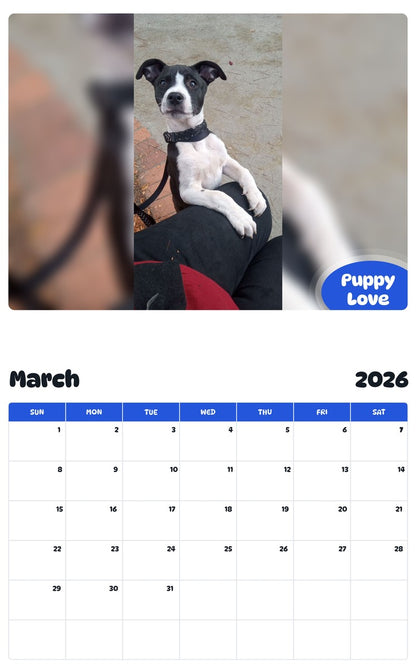 November 2025 - October 2026 Puppy Love - Pawidols Pet Calendar