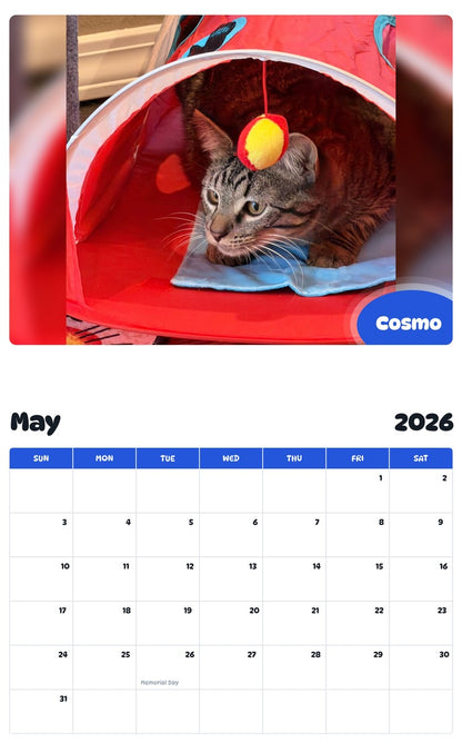 2026 - 2027 Cosmo - Pawidols Pet Calendar