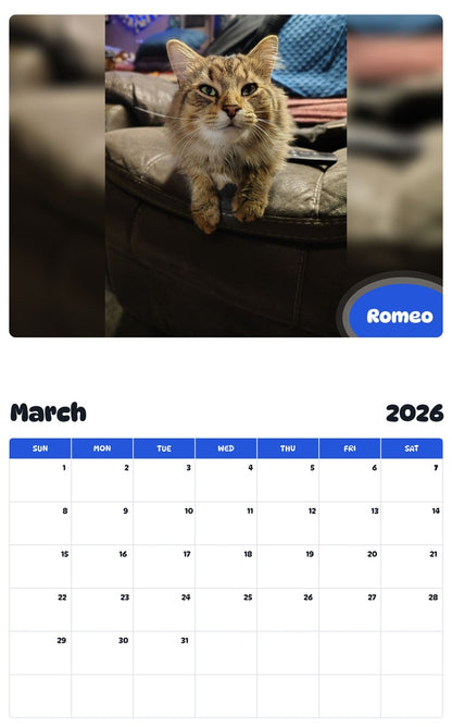 November 2025 - October 2026 Romeo - Pawidols Pet Calendar