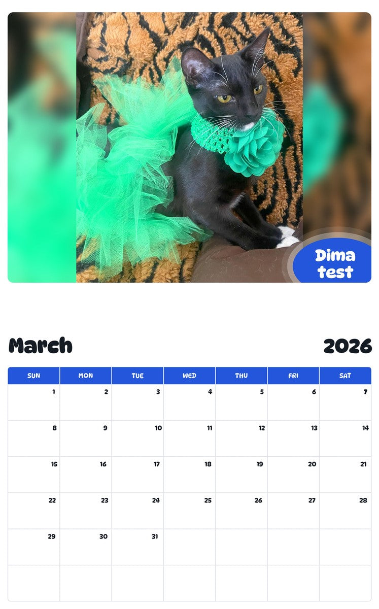 November 2025 - October 2026 Dima test - Pawidols Pet Calendar