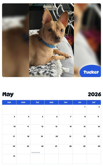2026 - 2027 Tucker - Pawidols Pet Calendar