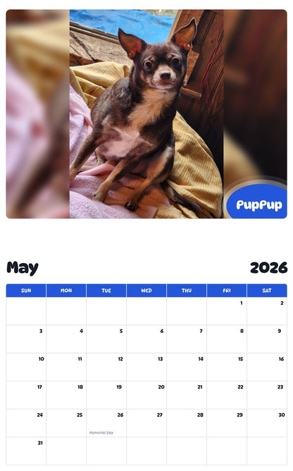 2026 - 2027 PupPup - Pawidols Pet Calendar