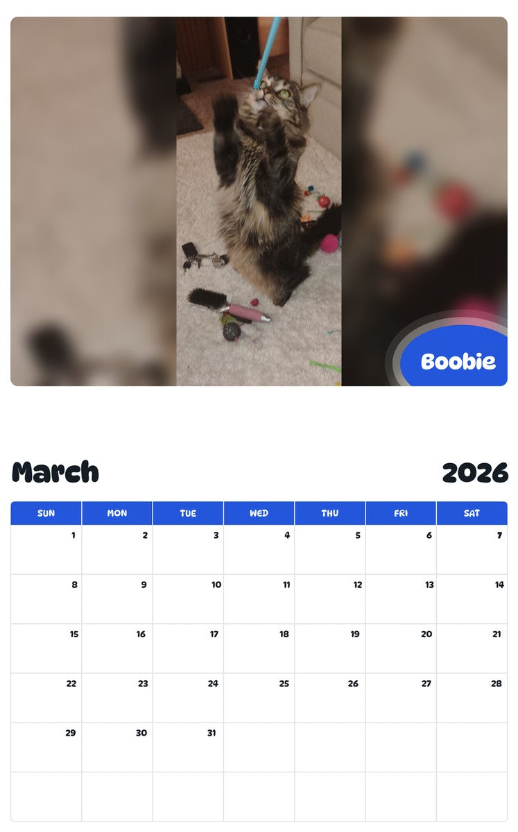 November 2025 - October 2026 Boobie - Pawidols Pet Calendar