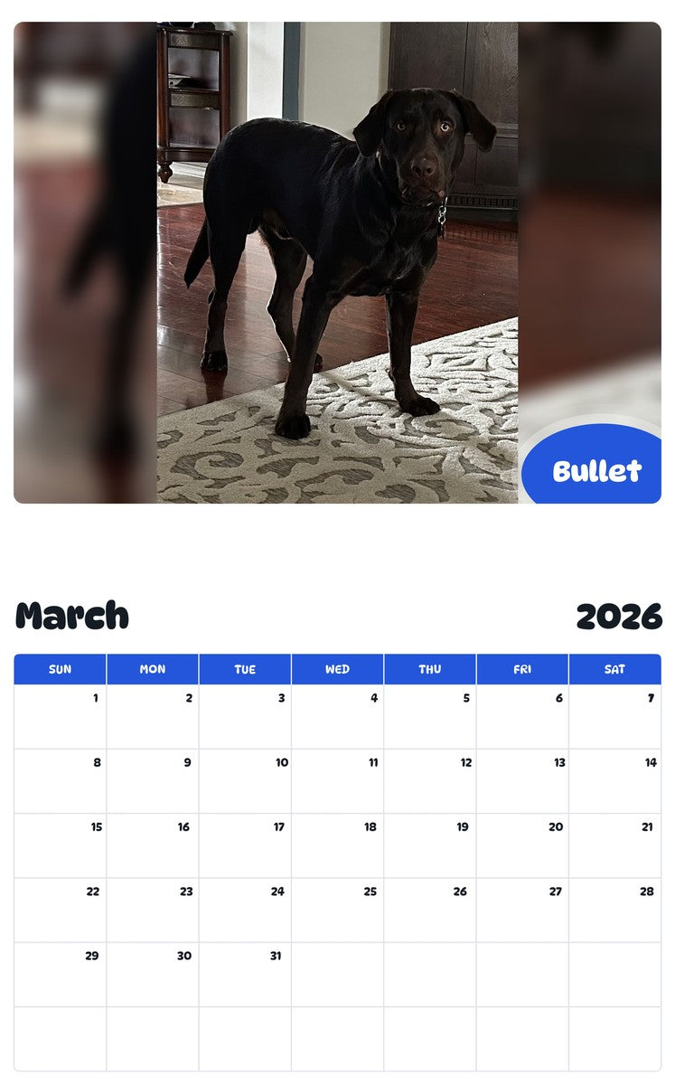 November 2025 - October 2026 Bullet - Pawidols Pet Calendar