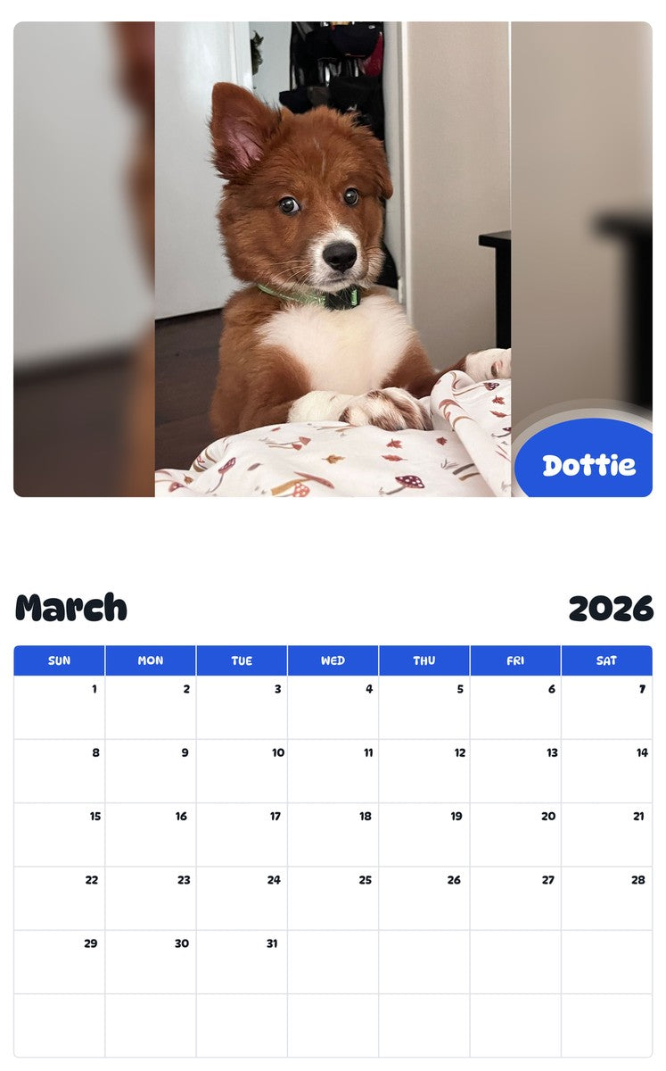 November 2025 - October 2026 Dottie - Pawidols Pet Calendar