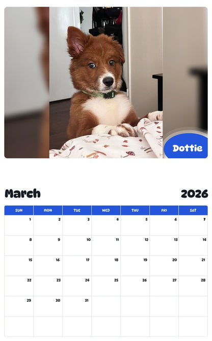 November 2025 - October 2026 Dottie - Pawidols Pet Calendar