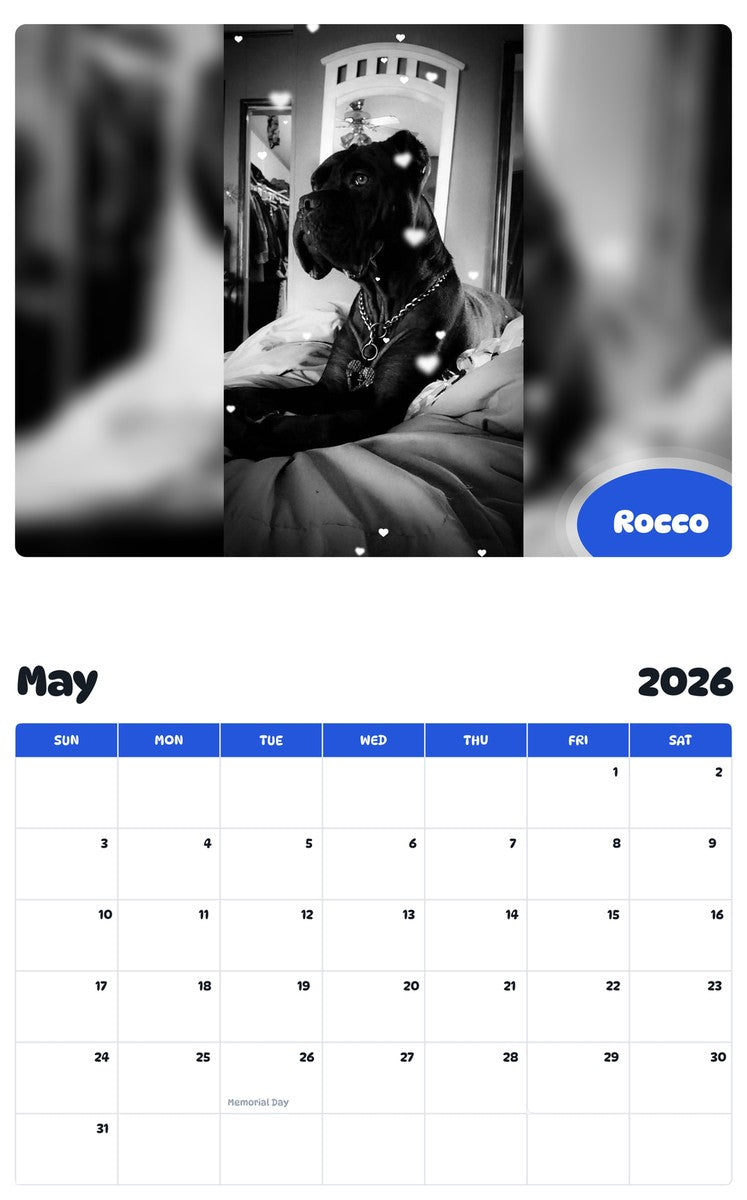 2026 - 2027 Rocco - Pawidols Pet Calendar