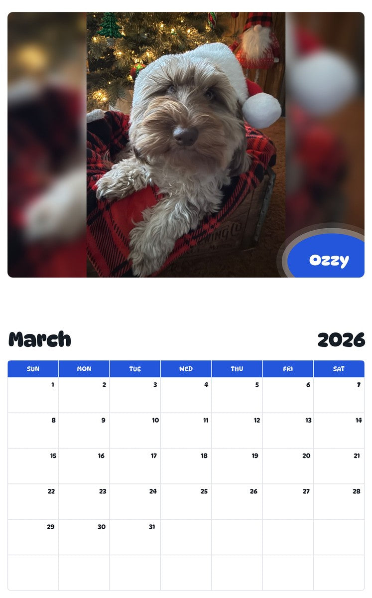 November 2025 - October 2026 Ozzy - Pawidols Pet Calendar