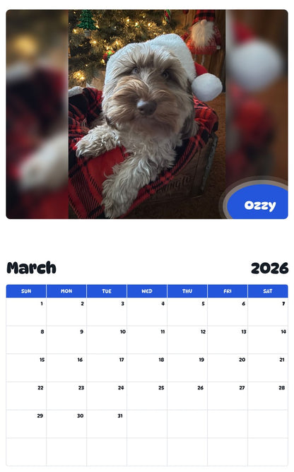 November 2025 - October 2026 Ozzy - Pawidols Pet Calendar