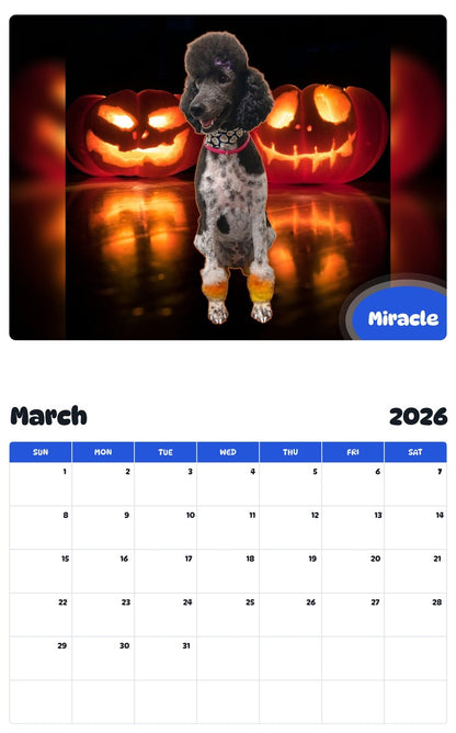 November 2025 - October 2026 Miracle - Pawidols Pet Calendar