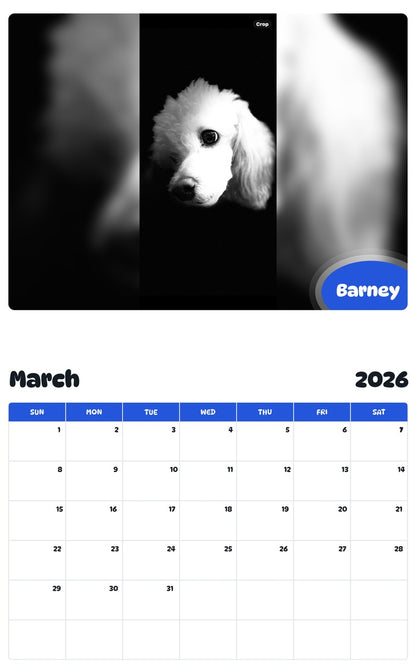 November 2025 - October 2026 Barney - Pawidols Pet Calendar