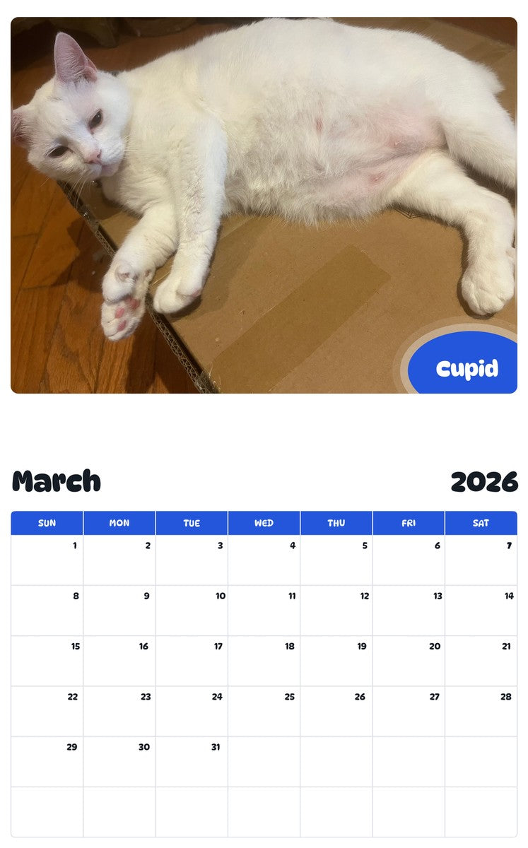 November 2025 - October 2026 Cupid - Pawidols Pet Calendar