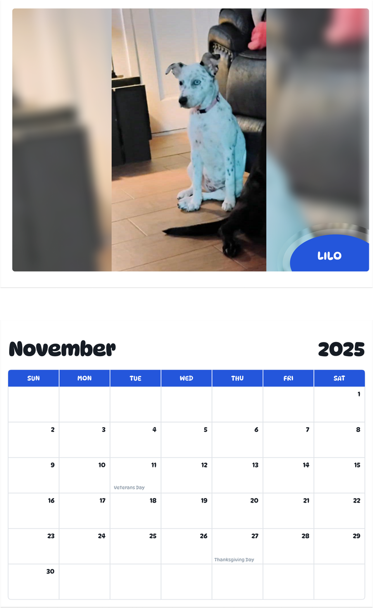 July 2025 - June 2026 Lilo - Pawidols Pet Calendar