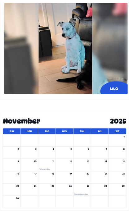 July 2025 - June 2026 Lilo - Pawidols Pet Calendar
