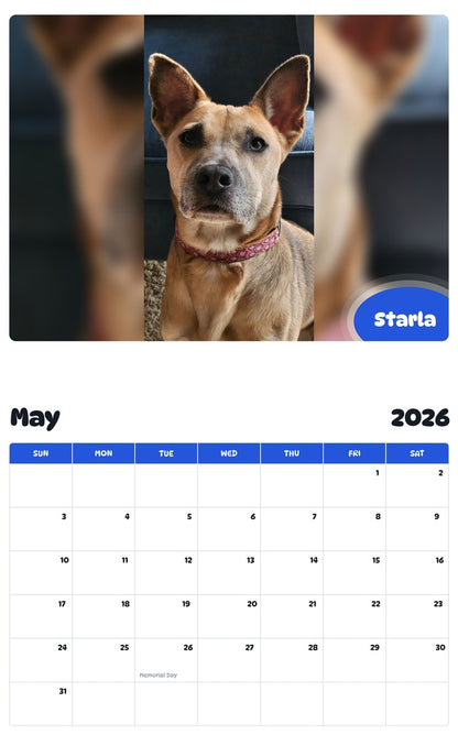 2026 - 2027 Starla - Pawidols Pet Calendar