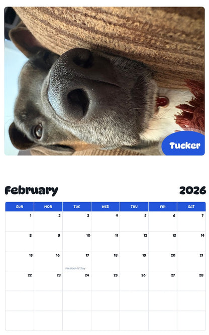 October 2025 - September 2026 Tucker - Pawidols Pet Calendar