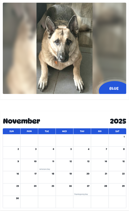 July 2025 - June 2026 Blue - Pawidols Pet Calendar