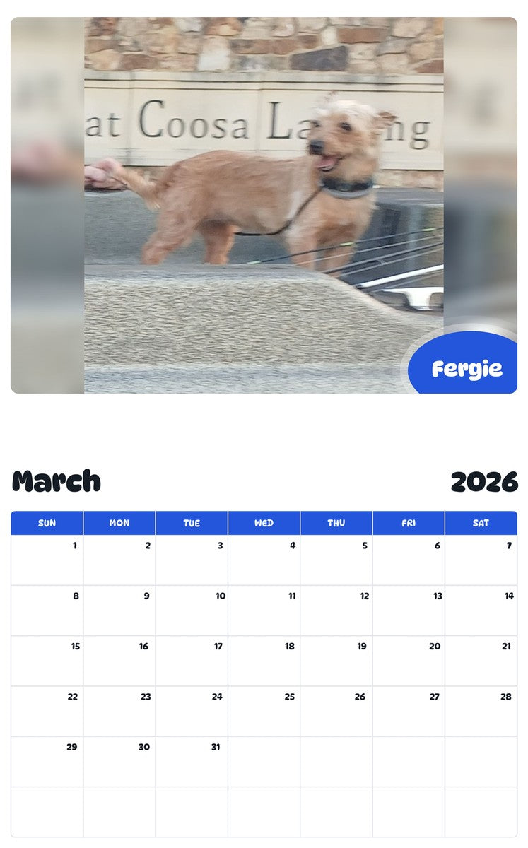 November 2025 - October 2026 Fergie - Pawidols Pet Calendar