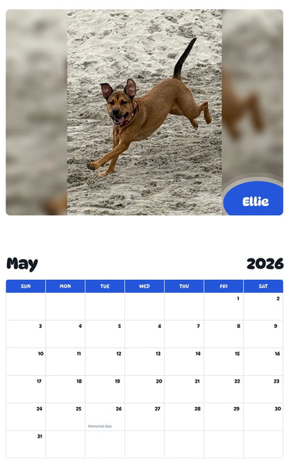 2026 - 2027 Ellie - Pawidols Pet Calendar