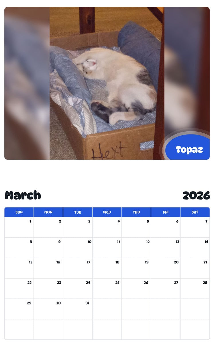 November 2025 - October 2026 Topaz - Pawidols Pet Calendar