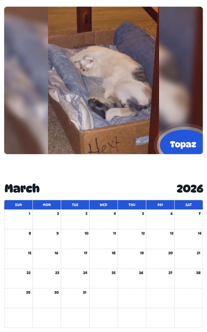 November 2025 - October 2026 Topaz - Pawidols Pet Calendar