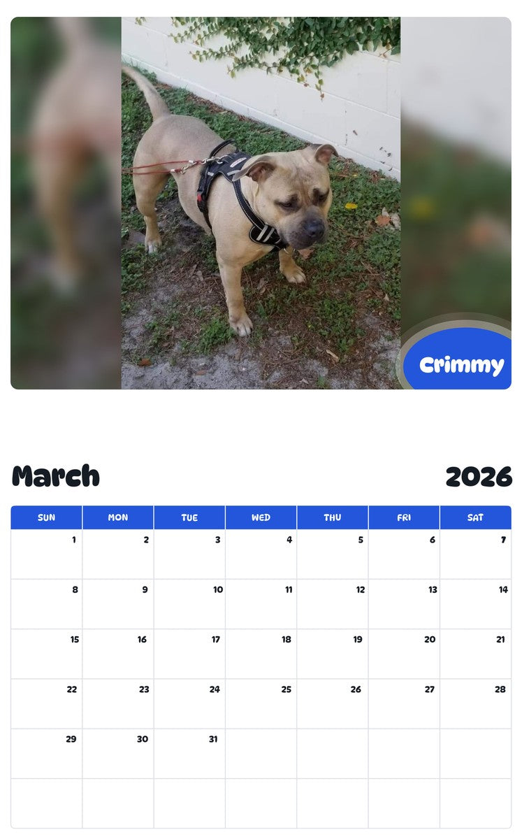 November 2025 - October 2026 Crimmy - Pawidols Pet Calendar