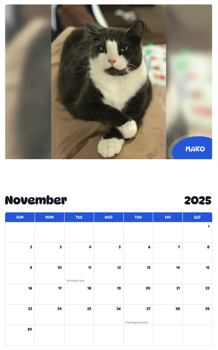 July 2025 - June 2026 Mako - Pawidols Pet Calendar