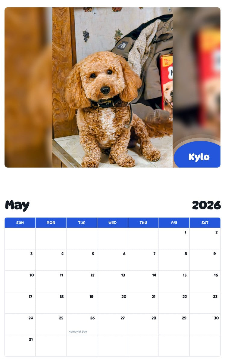 2026 - 2027 Kylo - Pawidols Pet Calendar