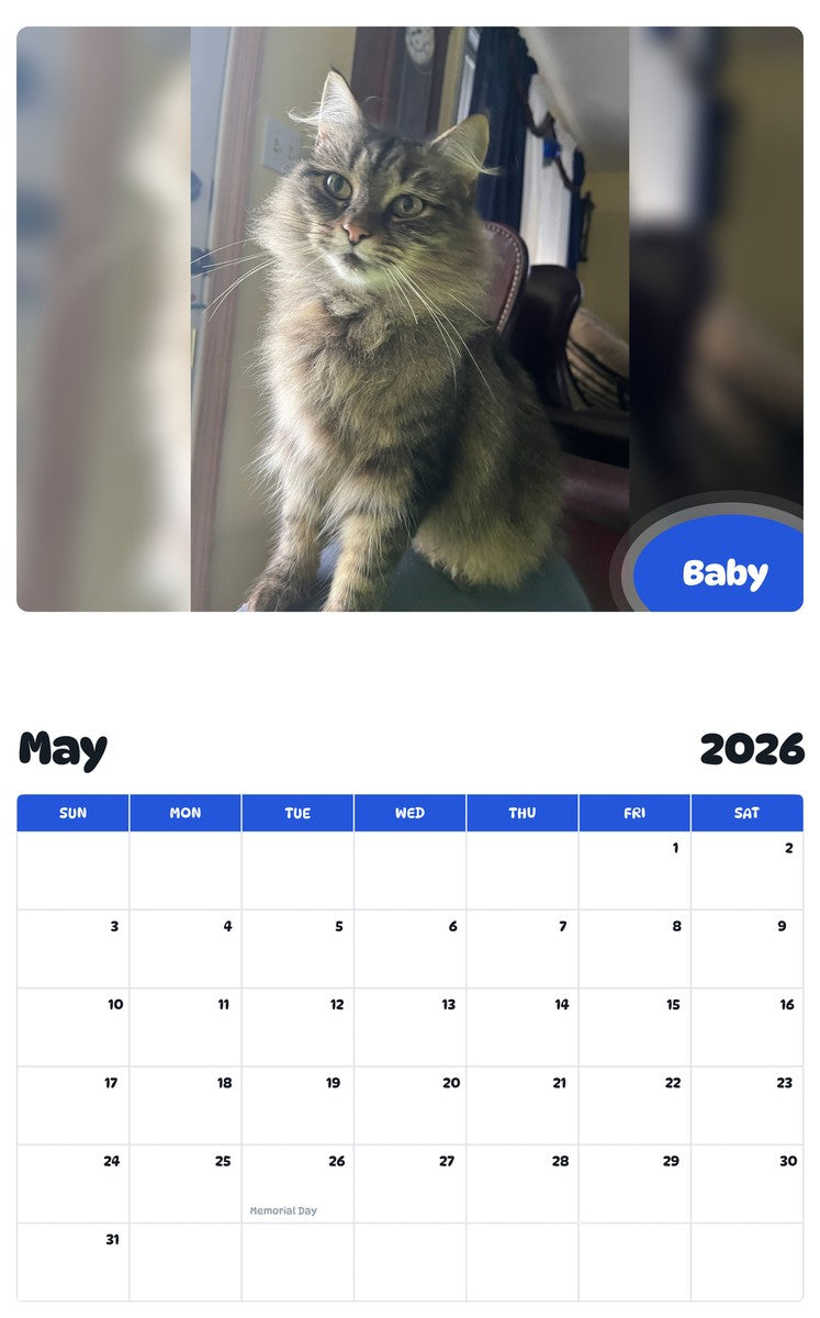 2026 - 2027 Baby - Pawidols Pet Calendar